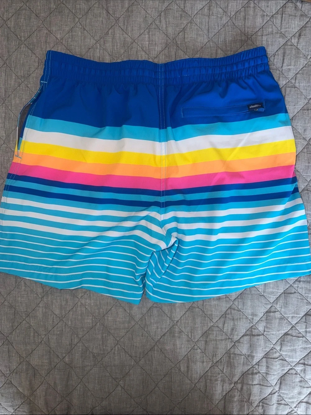 Mens Chubbies Newport 5.5” swim shorts